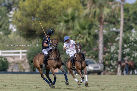 Exciting High Goal Polo Action at the Terralpa Silver Cup