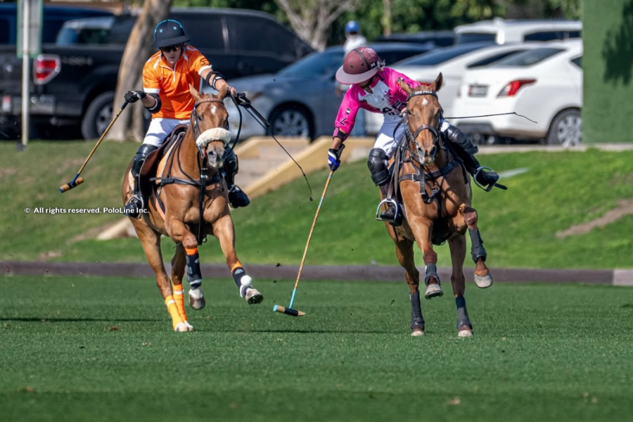 Começo Empolgante: Copa da Federação de Polo dos Emirados Árabes Unidos em Dubai