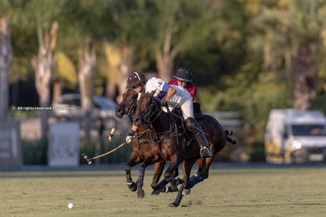 Amanara and Dos Lunas Face Off in High Goal Gold Cup Final