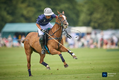 Übergang zur Polo-Saison: Von England zur Triple Crown in Argentinien