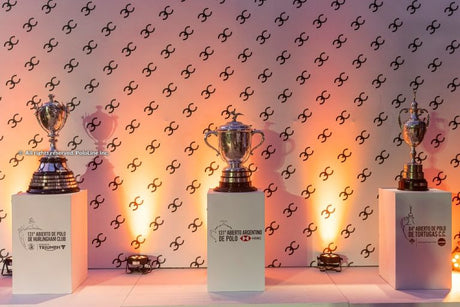 Get Ready for the Exciting 2026 Spring Polo Season in Argentina