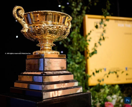 British Open Polo Championship: Cowdray Gold Cup Excitement