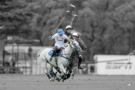 Exciting High-Goal Polo Match Results