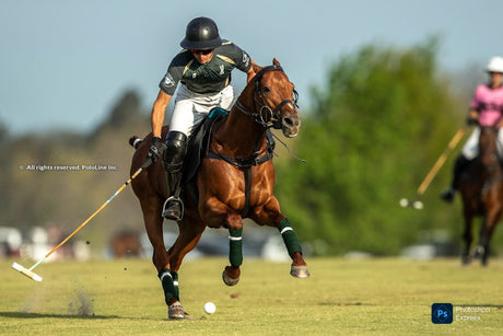Final do 133º Aberto de Hurlingham Adiada: Nova Data Anunciada